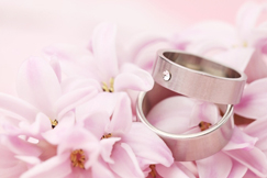 Wedding_Rings.jpg